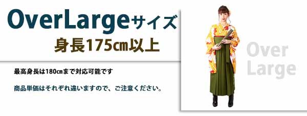 4Lサイズ（176-180cm）