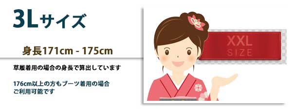 3Lサイズ
